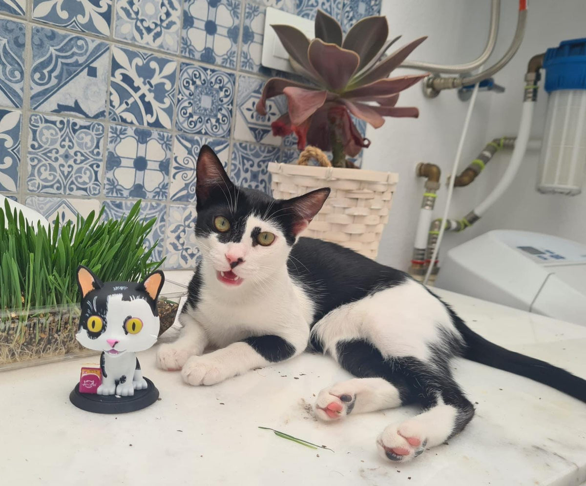 Figura de mascota estilo Funko personalizada pintada a mano
