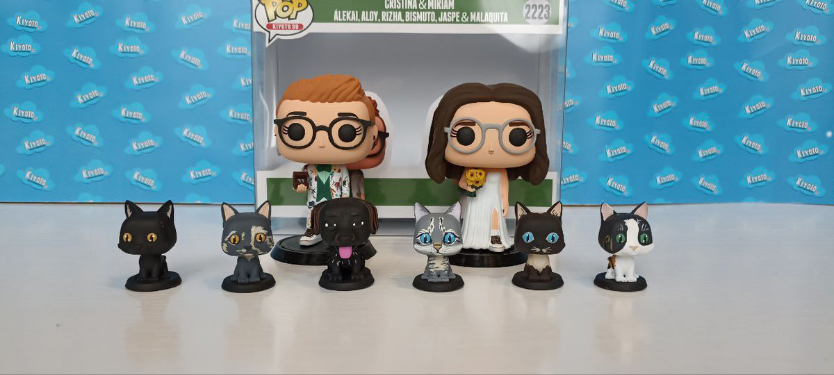 Pareja de Funkos Personalizados regalo original